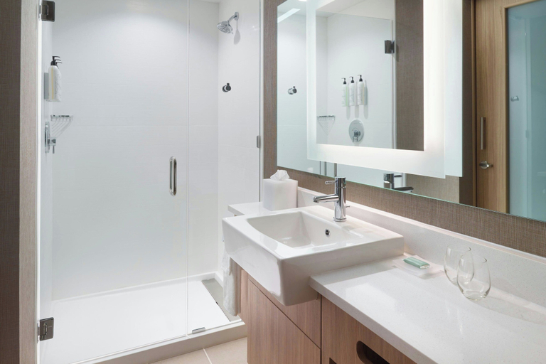 Bathroom 3, Springhill Suites By Marriott Ellijay, Gilmer