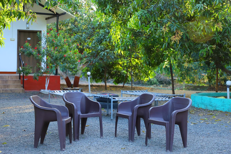 Food & Drinks 4, DANAK FARM, Gir Somnath
