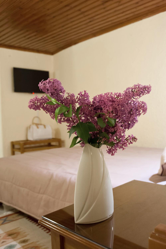 Bedroom 2, Hermes Delphi Hotel, Central Greece