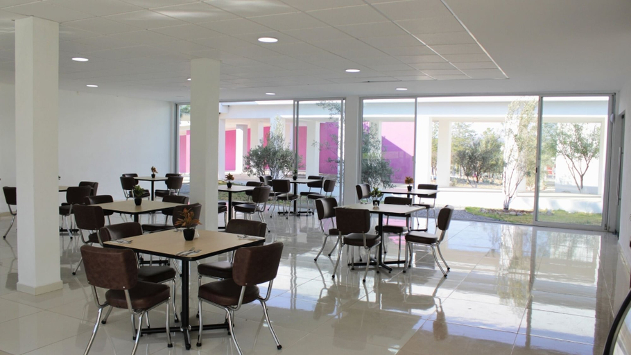 Food & Drinks 4, Camino de Olivos, Allende