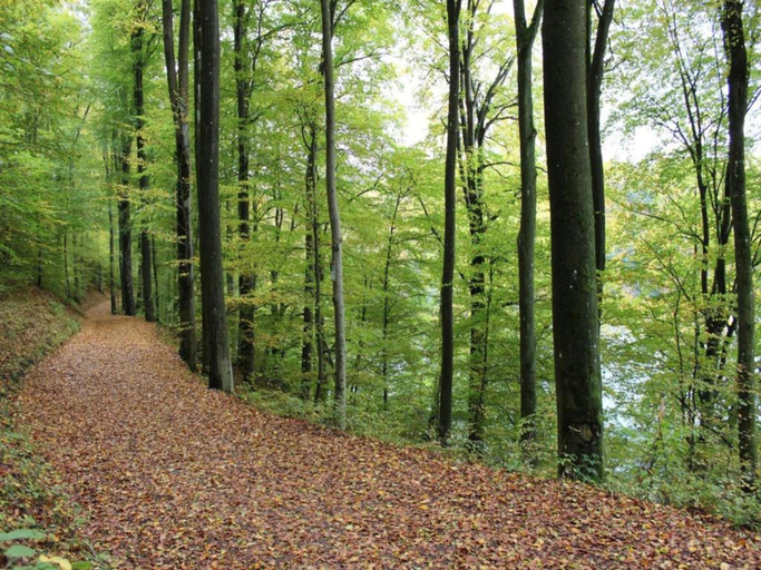 Others 5, Neuendorf Elegant Nature Stay, Eifelkreis Bitburg-Prüm