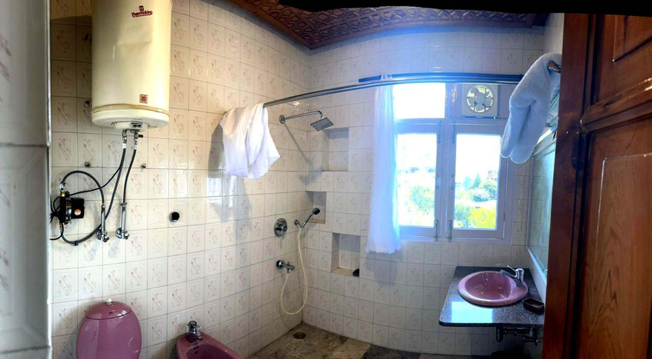 Bathroom 5, Red Wood, Srinagar