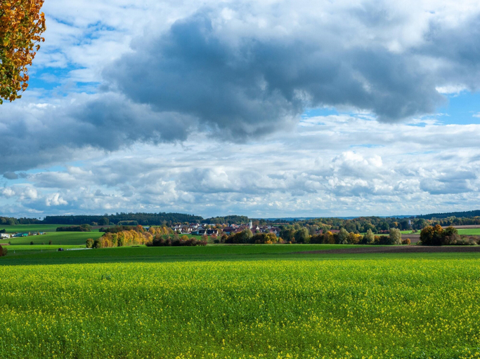 View from property 4, Lovely Holiday Home in Haunsheim, Dillingen an der Donau