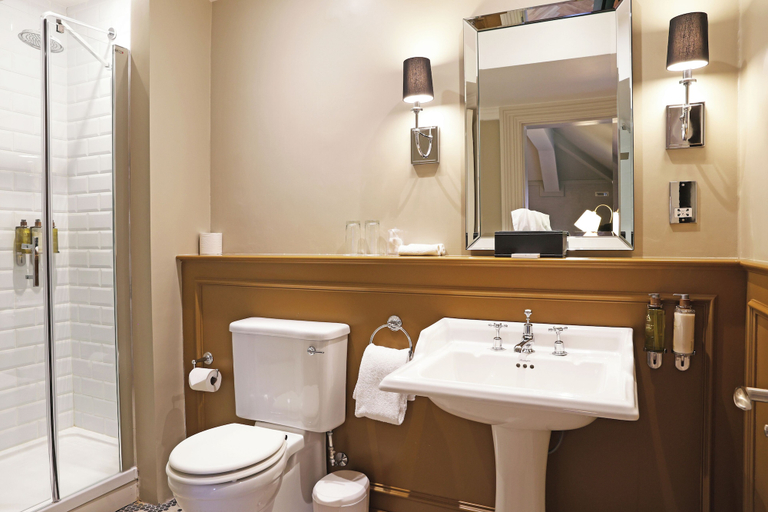 Bathroom, Barberstown Castle