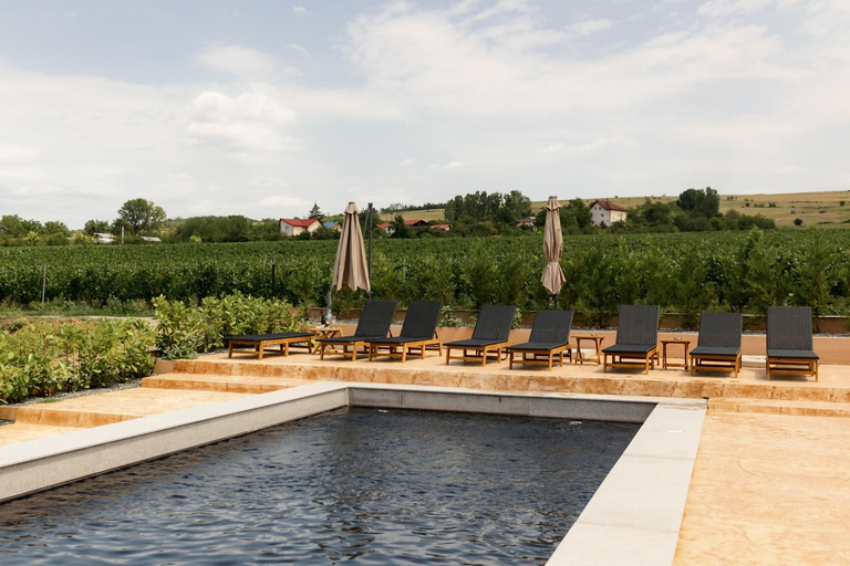 Sport & Beauty 4, Gramofon INN, Iordacheanu