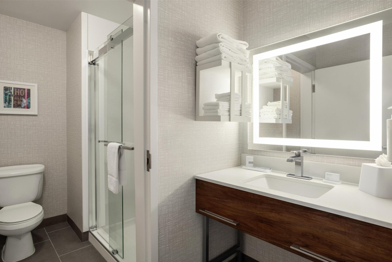 Bathroom 5, Hampton Inn Derby Wichita Southeast, Sedgwick