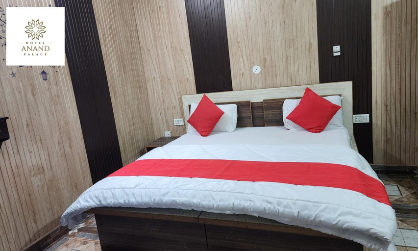 Others 5, Hotel Anand Palace, Kangra