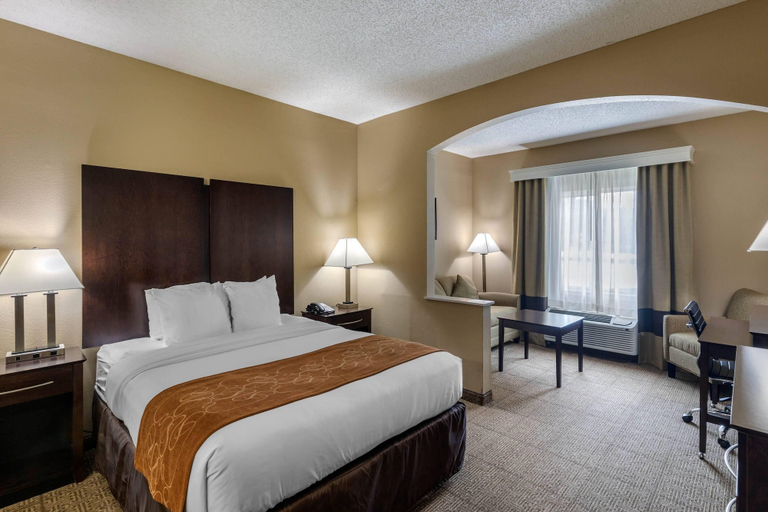Bedroom 4, Comfort Suites The Colony - Plano West, Denton
