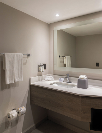 Bathroom 4, Holiday Inn Express TAPACHULA by IHG, Tapachula