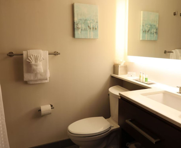 Bathroom 5, Doubletree By Hilton Omaha Southwest, Douglas