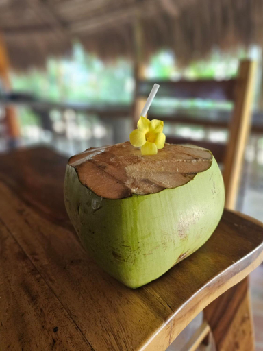 Food & Drinks 3, Big BamBoo Beach Resort Sipalay, Sipalay City