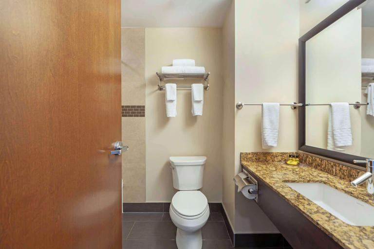 Bathroom 4, Best Western Plus Peace River Hotel & Suites, Division No. 19