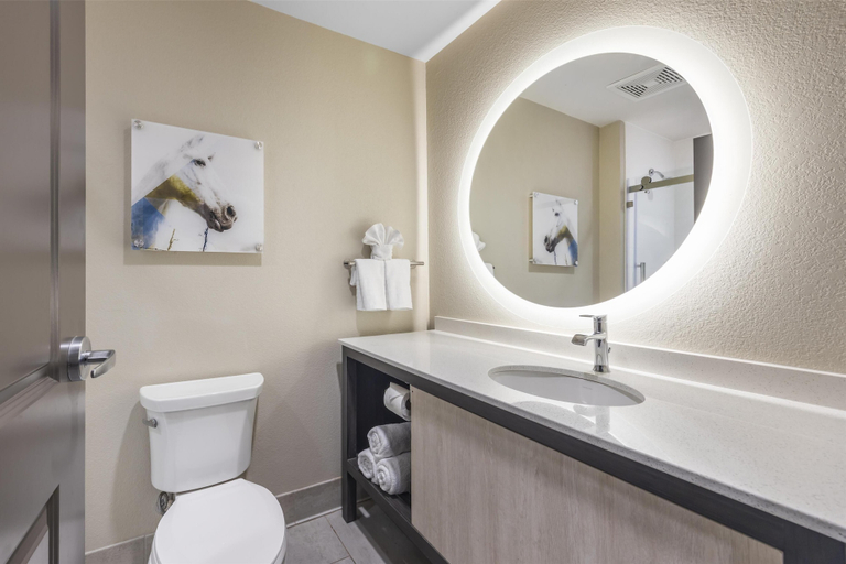 Bathroom 4, Best Western Plus Executive Residency Jackson Northeast, Madison
