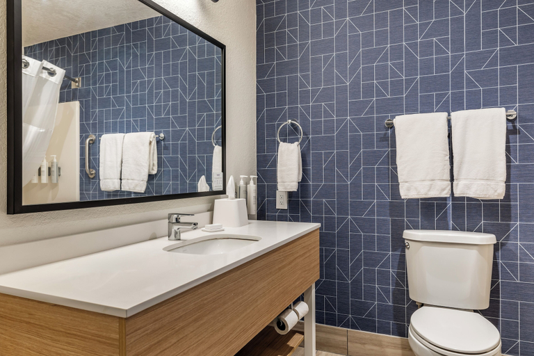 Bathroom 4, Spark by Hilton La Crosse Onalaska, La Crosse