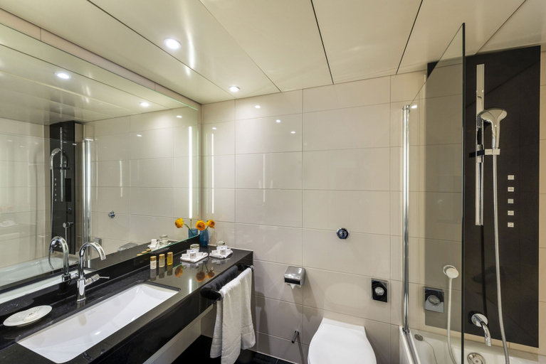 Bathroom 5, Maritim Hotel Ulm, Ulm