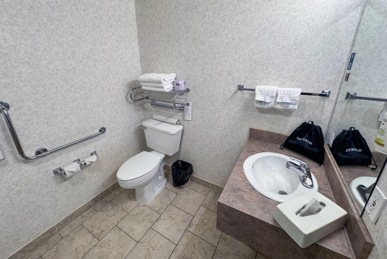 Bathroom 4, Ramada by Wyndham Sherwood Park, Division No. 11