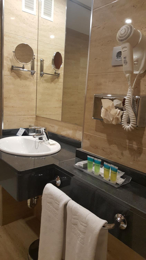 Bathroom 5, Senator Barajas, Madrid