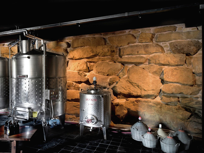 Food & Drinks 5, Villa in Tuscany with Organic Wine Estate, Arezzo