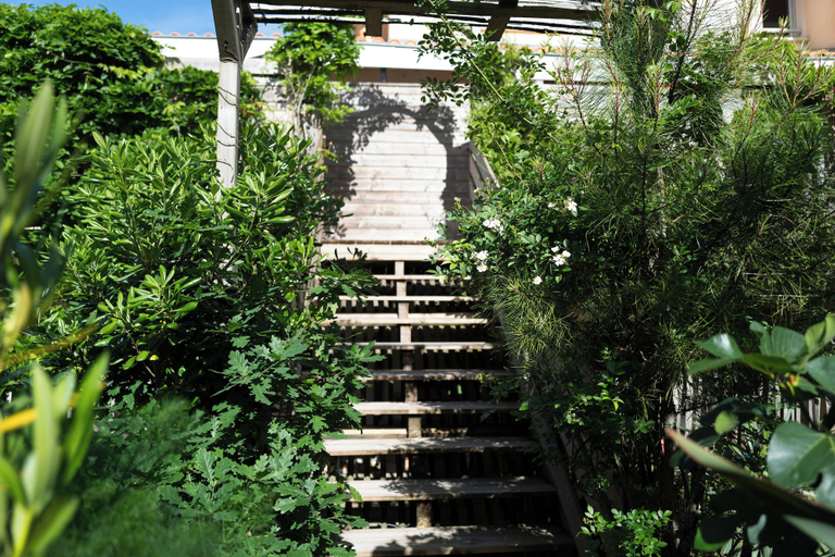Exterior & Views, Le Lodge du Cap Ferret, Gironde