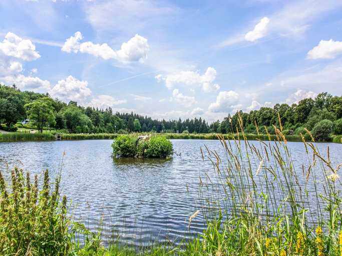 Others 4, Apartment on the lakeside in Hahnenklee, Goslar