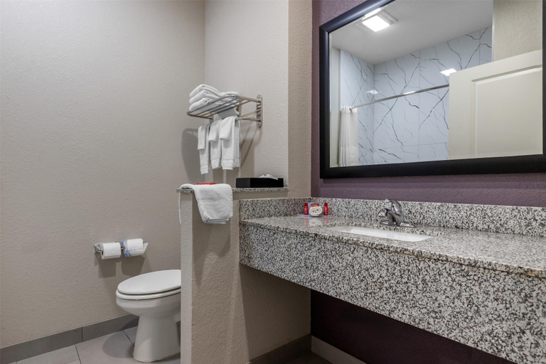 Bathroom 5, SureStay Plus Hotel by Best Western Ada, Pontotoc