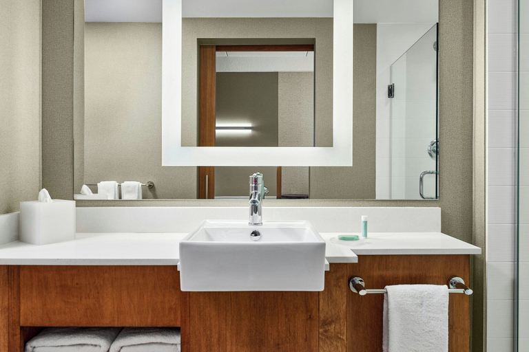 Bathroom 5, SpringHill Suites by Marriott Deadwood, Lawrence