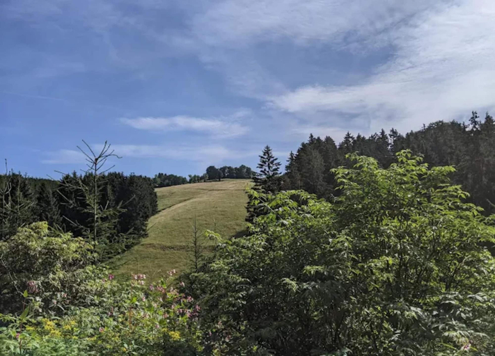 View from property 2, Moderne Wohnung in Winterberg, Hochsauerlandkreis