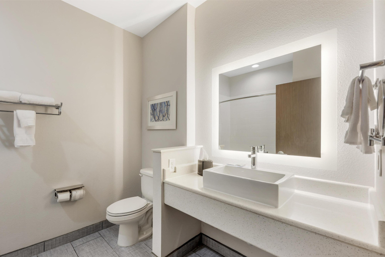 Bathroom 4, Best Western Green Oaks Inn & Suites, Wilson