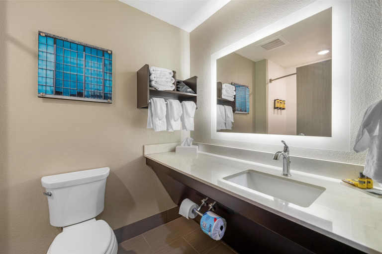 Bathroom 4, Best Western Plus McPherson, McPherson