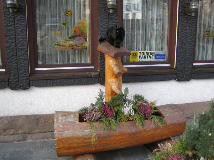 Exterior & Views 5, hotel rappen, Freudenstadt
