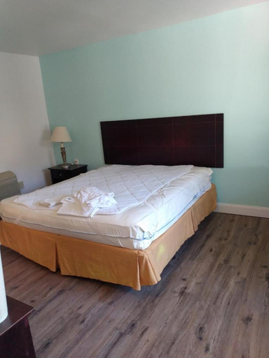 Bedroom 3, Holiday Motel, Franklin