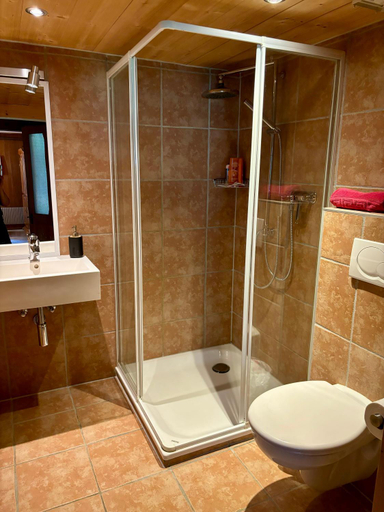Bathroom, Guest House du Grand Paradis, Monthey