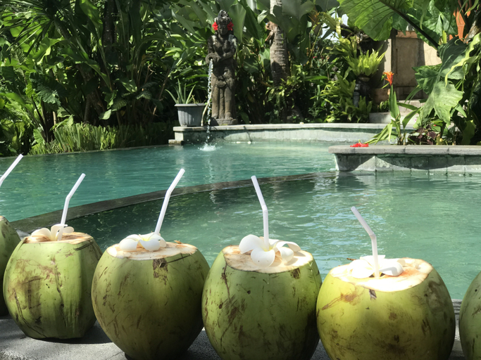 Sport & Beauty 4, White House, Gianyar