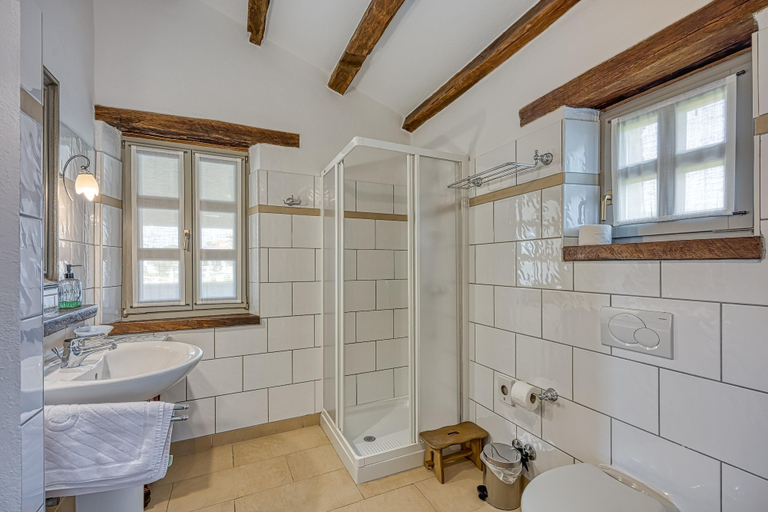 Bathroom 5, Vila Amyra With Pool, Sveti Lovreč