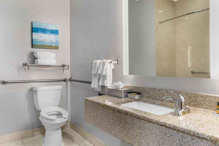 Bathroom 4, Best Western Plus Fort Worth Forest Hill Inn & Suites, Tarrant