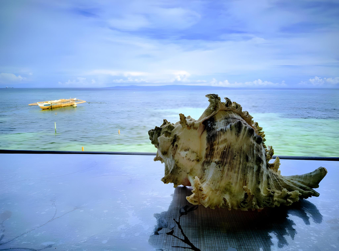 5, Ocean View Lodging House, Oslob