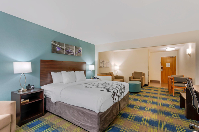 Bedroom 3, Sleep Inn & Suites Smyrna - Nashville Area, Rutherford