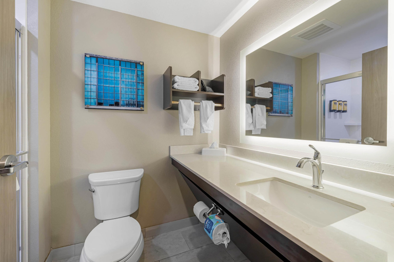 Bathroom 4, Best Western Plus McPherson, McPherson