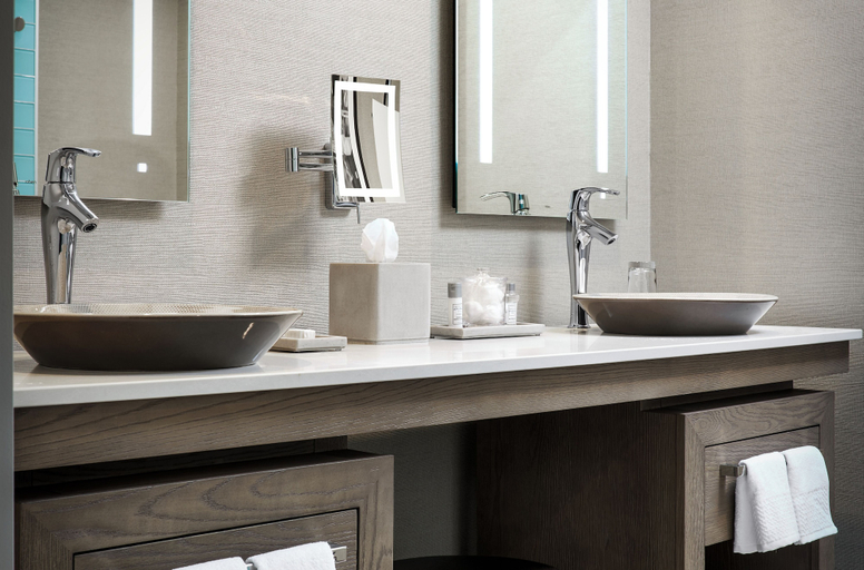 Bathroom 5, Lodge Kohler, Brown