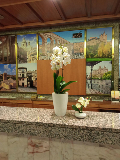 Public Area 3, Hotel ELE Acueducto, Segovia