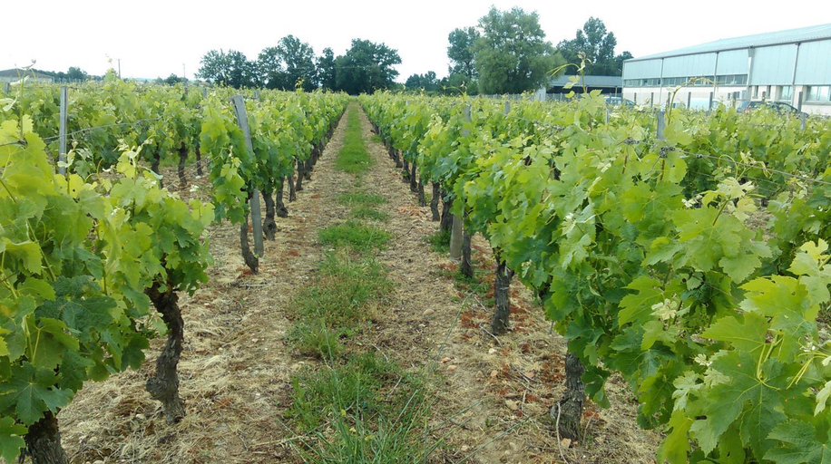 Others 2, Chateau Laborde Caudalie, Gironde