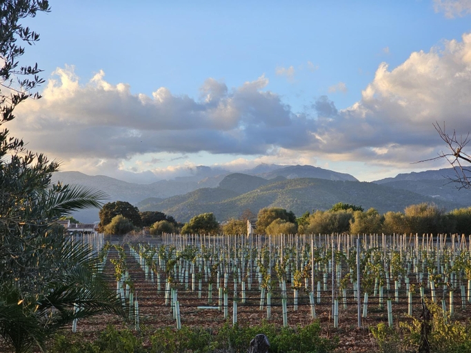 Others 4, Finca La Preciosa, Baleares