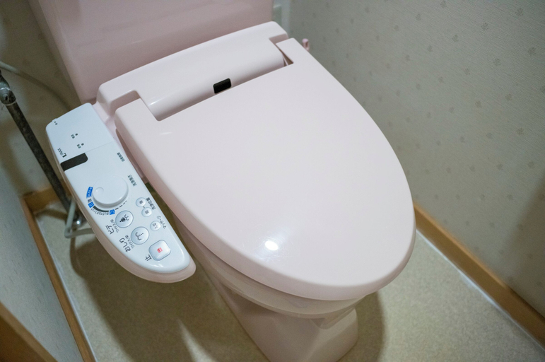 Bathroom 4, Ryokan Yakenoyu, Takayama