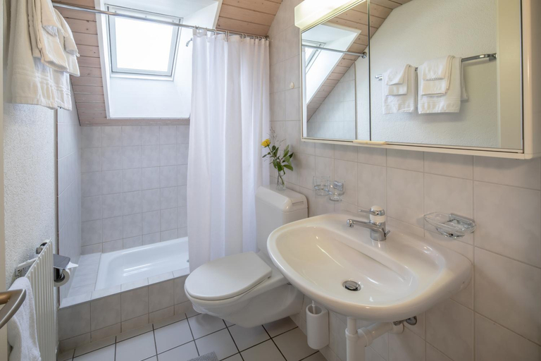 Bathroom 4, Gasthof Enge, Wasseramt