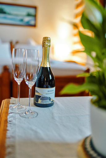 Food & Drinks, Hotel Na Vyhlidce, Jablonec nad Nisou