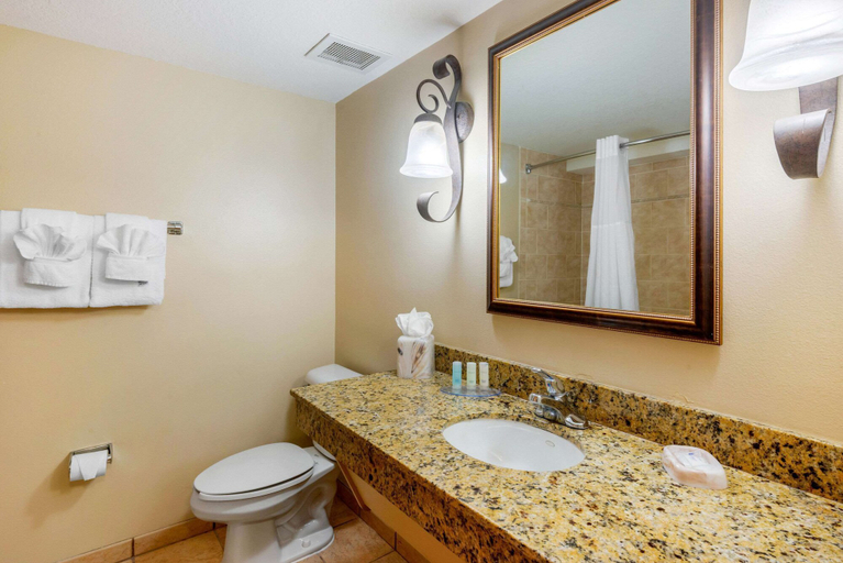 Bathroom 4, Clarion Inn Ormond Beach at Destination Daytona, Volusia