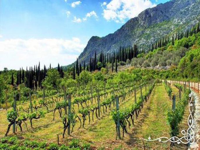 Others 5, Villa in Gruda with Private Pool, Konavle