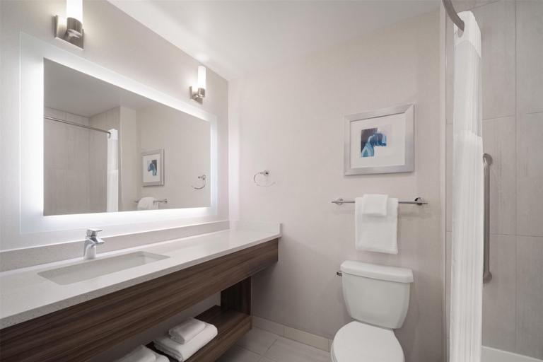 Bathroom 4, Best Western Plus Gateway to the Falls, Thompson-Nicola