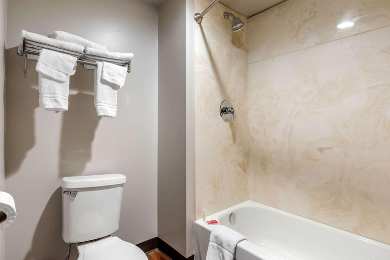 Bathroom 4, Econo Lodge Milwaukee Airport, Milwaukee
