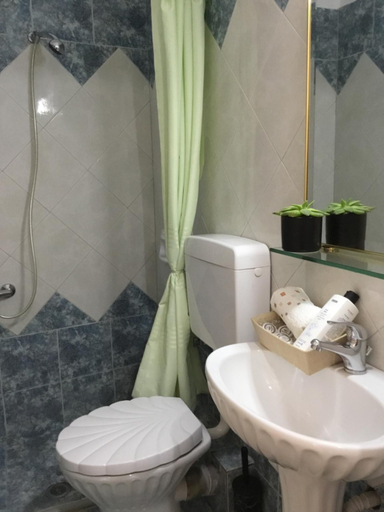 Bathroom, Hotel Triantafyllou, Central Greece